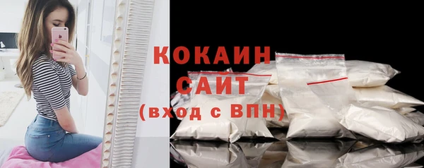 крисы Новодвинск