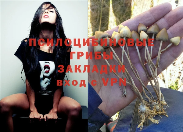 крисы Новодвинск
