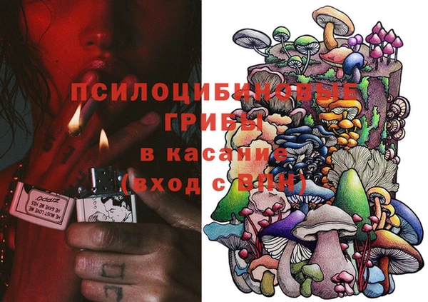 бутират Алексеевка