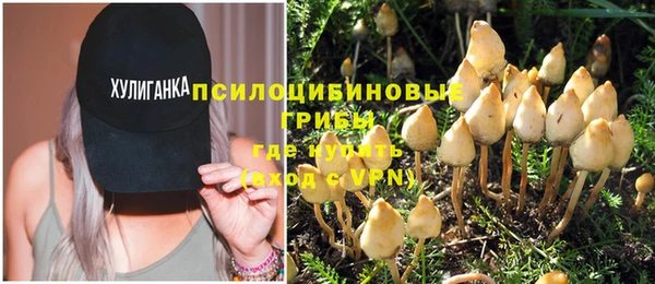 крисы Новодвинск