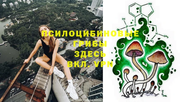 ГАЛЛЮЦИНОГЕННЫЕ ГРИБЫ Алексин