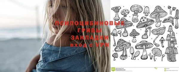 бутират Алексеевка